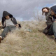 Image for article titled The Hotelier’s “Housebroken” empathizes with the bitches being kept in line